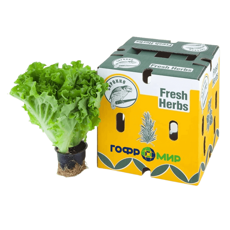 Коробка из гофрокартона для свежей зелени
