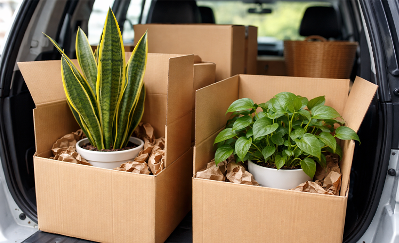 Статьи о производстве картона, блог - Гофромир фото