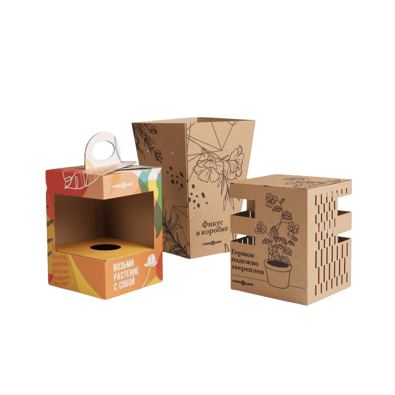 Вдохновляющая упаковка для цветов в горшках: 3 варианта