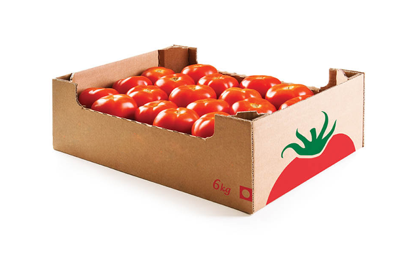 Статьи о производстве картона, блог - Гофромир фото