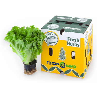 Упаковка для зелени