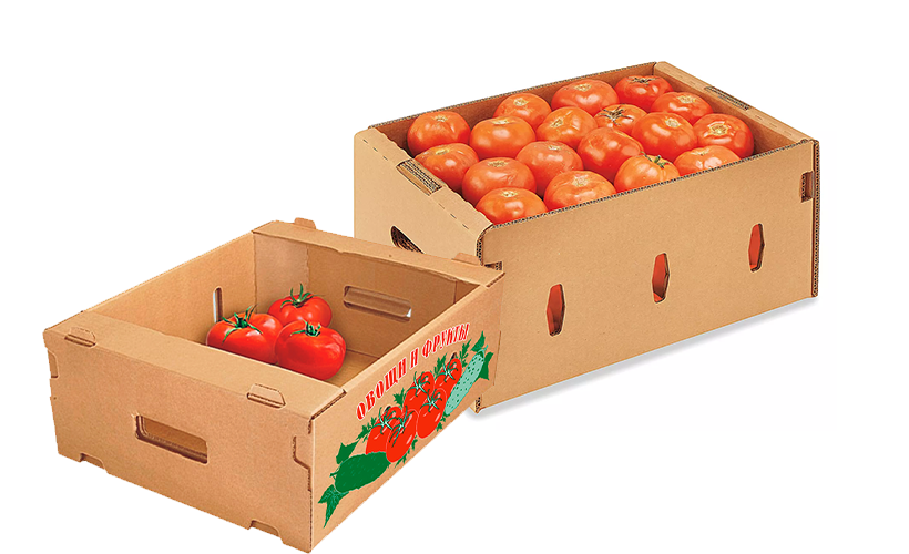 karton-ili-plastik-dlya-khraneniya-ovoshchey (4).png karton-ili-plastik-dlya-khraneniya-ovoshchey (4).png