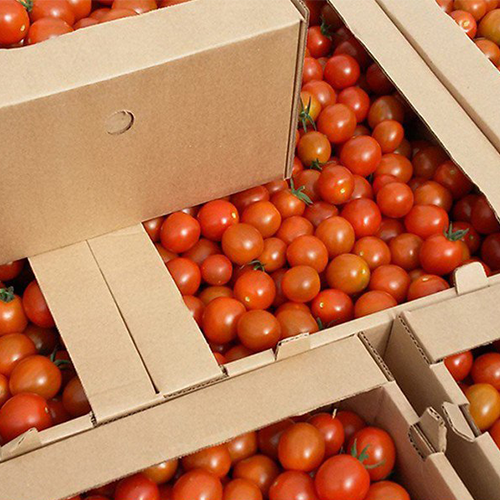 kak-upakovat-pomidory-dlya-perevozki (1-1).png