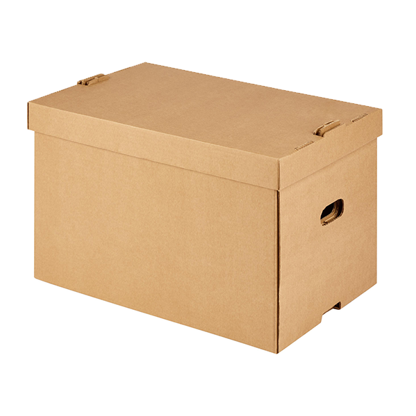 vybiraem-arkhivnuyu-korobku-materialy-razmery-i-klass-khraneniya (2).png