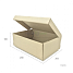 Картонная коробка обувная 290х205х100 Т23 B Бурый 0421