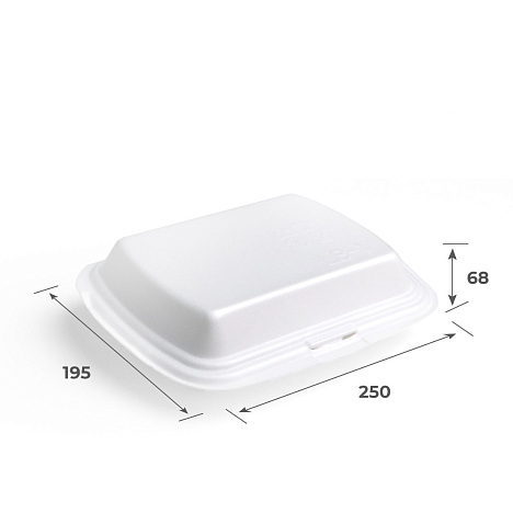 Ланчбокс бессекционный 250х195х68 мм 