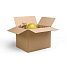 Картонная коробка 300х200х200 Т23 B Бурый 0201