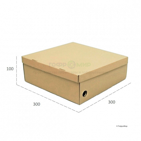 Картонная коробка 300х300х100 Т11 E Бурый 0441